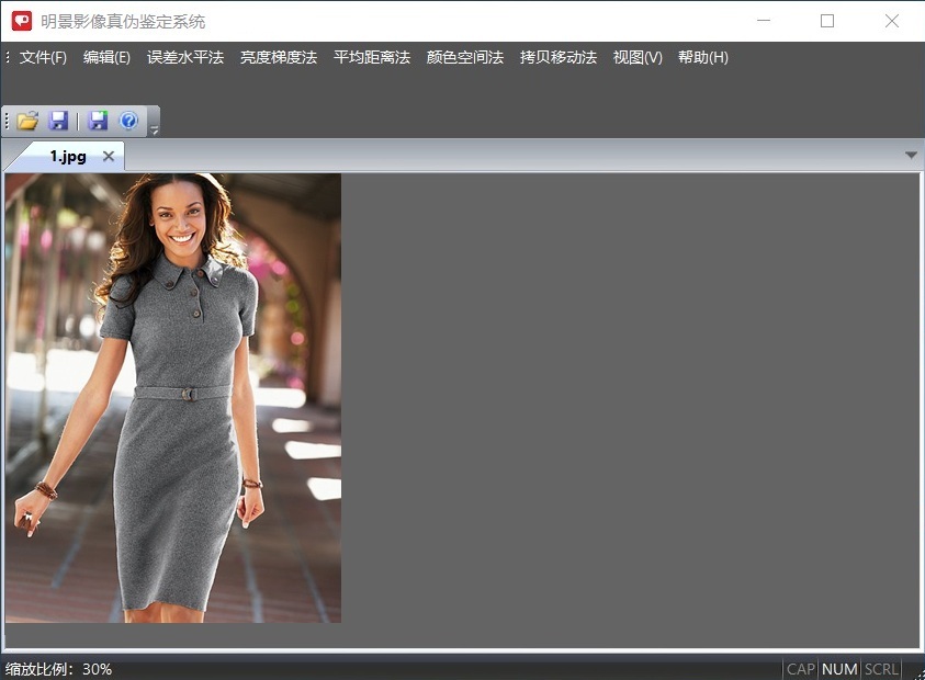 明(míng)景影像真伪鉴定系统 明(míng)景影像真伪鉴定系统