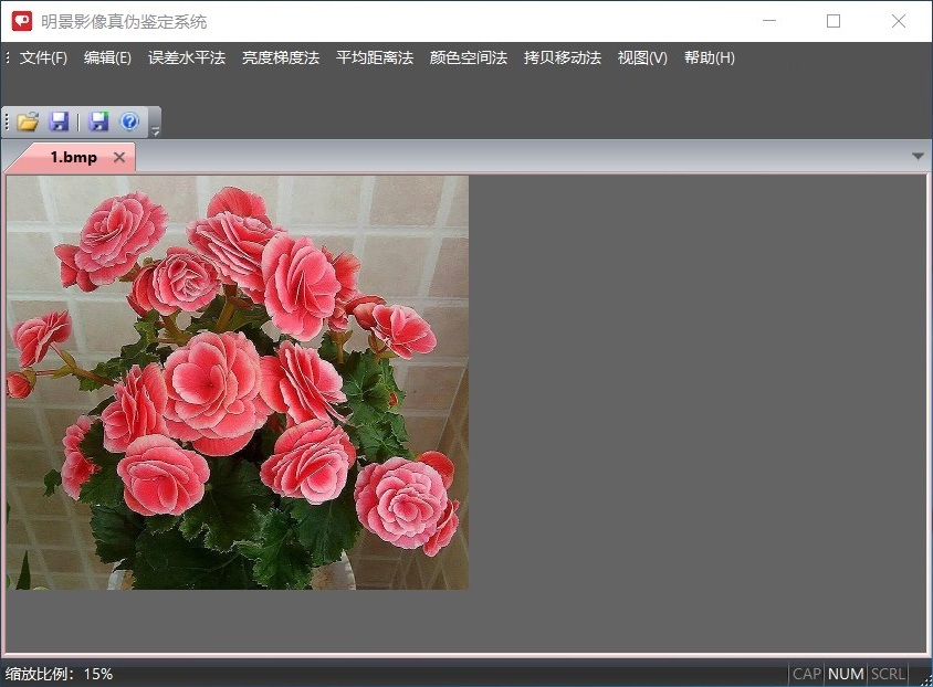 明(míng)景影像真伪鉴定系统 明(míng)景影像真伪鉴定系统