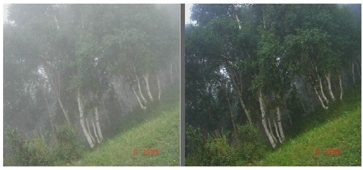 明(míng)景专业視(shì)頻(pín)图像处理分析系统